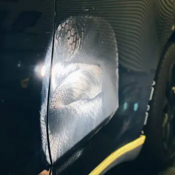 8 Concours Detailing Tesla Model Y Paint Correction