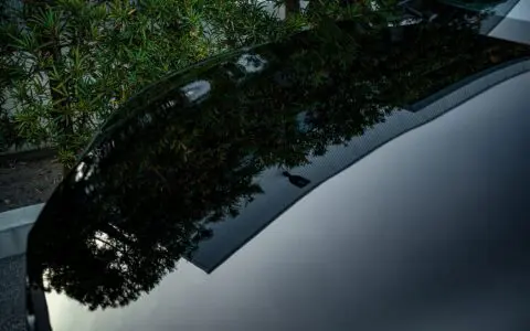 2022+ Tesla Model S Plaid Paint Correction & Protection Image 22