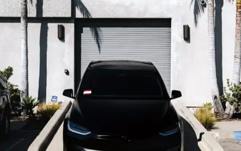Blacked Out 2023 Tesla Model X Plaid - PPF (Paint Protection Film), Ceramic Coating