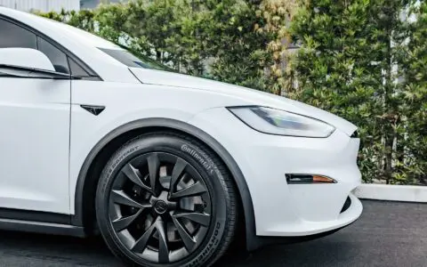 Pearl White Multi-Coat Model X - XPEL Paint Protection Film (PPF) and Window Tint, Los Angeles, California