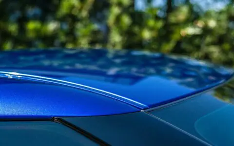 BPAS GTR PCorrection 12