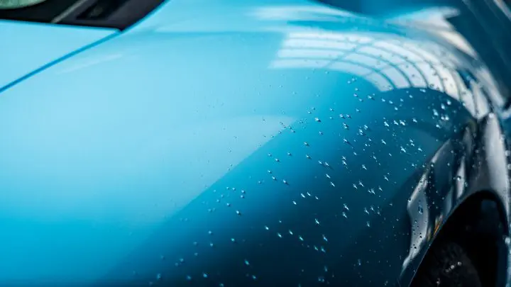 2006 Ford GT Heritage - XPEL Ultimate Plus PPF, interior & exterior concours detailing, Full vehicle paint machine polishing