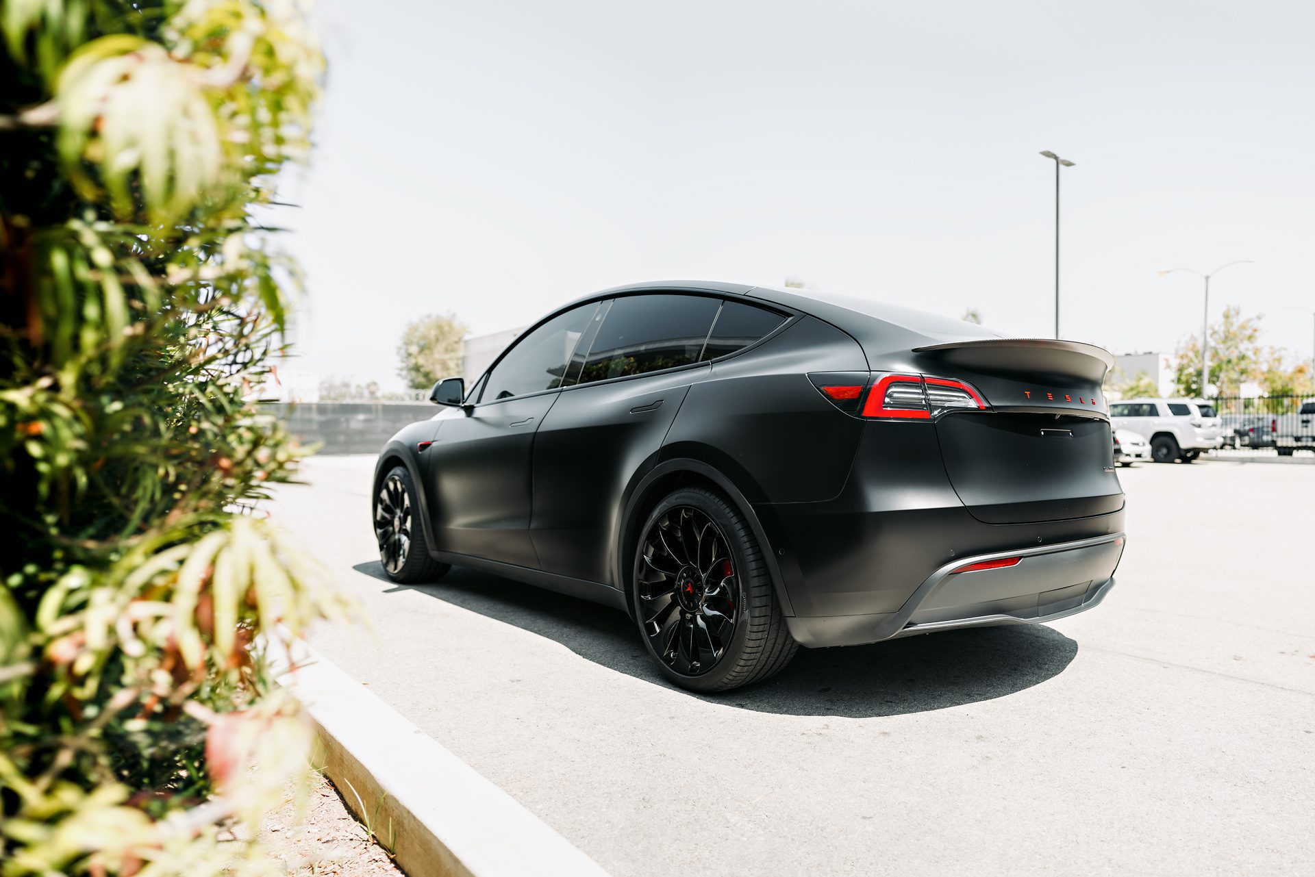 2022 Tesla Model 3 Stealth PPF Wrap