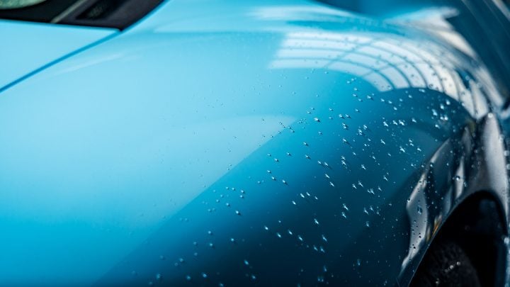 2006 Ford GT Heritage - XPEL Ultimate Plus PPF, interior & exterior concours detailing, Full vehicle paint machine polishing