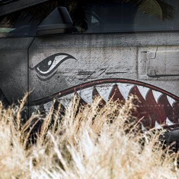 Tesla Custom Graphics Services In Los Angeles Image 4