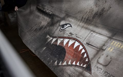 BPAS Salomondrin Sharkface Cybertruck 1920px web (7)